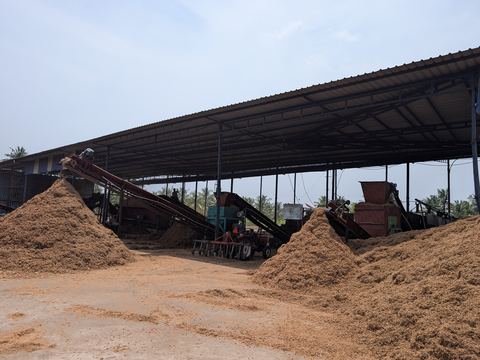 Coco chips moving through the sieving conveyors