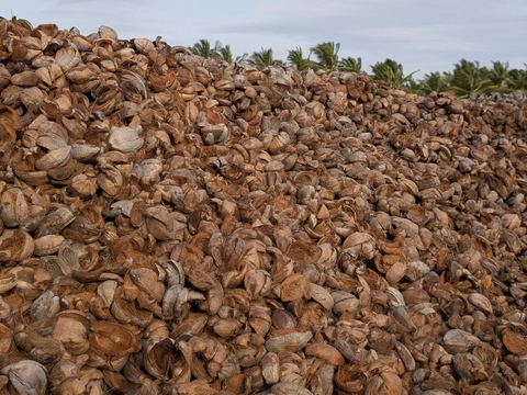 Raw coconut husk stock at the Pollachi unit